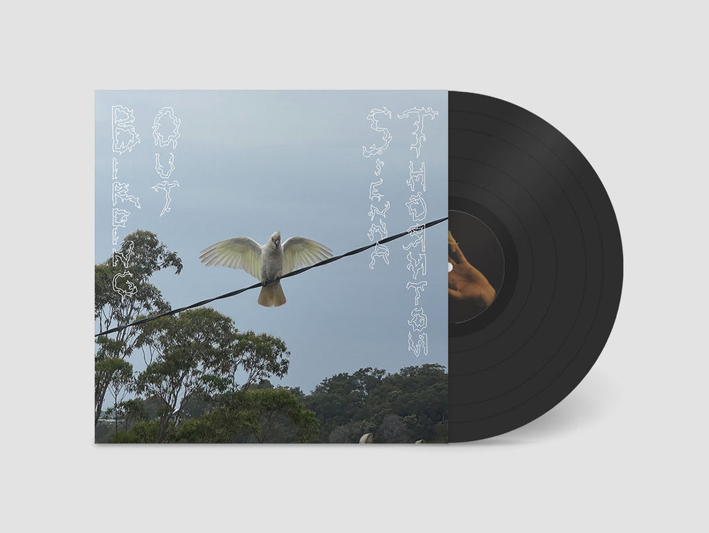 Birding Out (LP) (Mint (M))