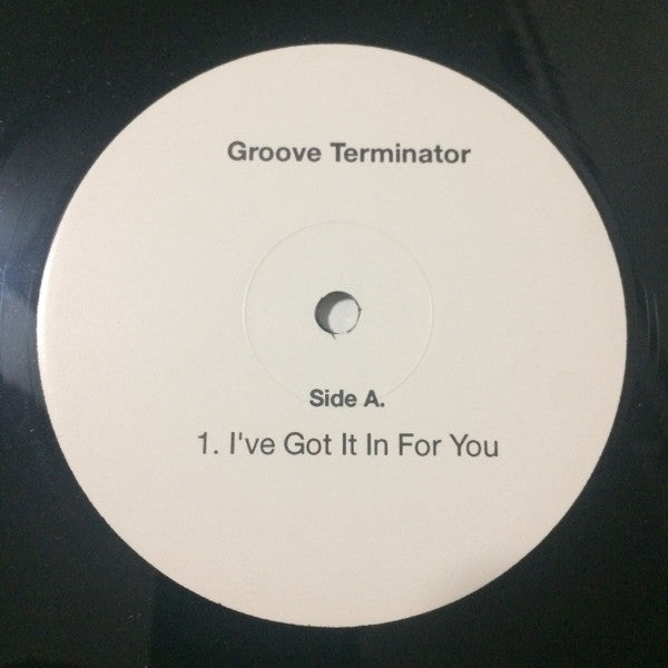 Groove Terminator : I Got It In For You (12")