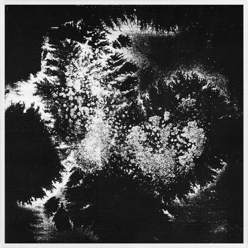 Vera Dvale & Psykovarius : Udu (LP, Album)