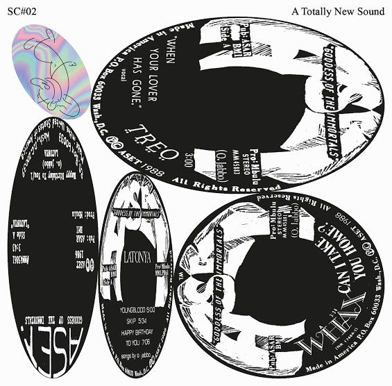 A Totally New Sound (LP) (Mint (M))