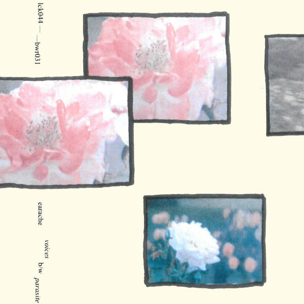 Earache (4) : Voices b/w Parasite (Cass, Single, Ltd)