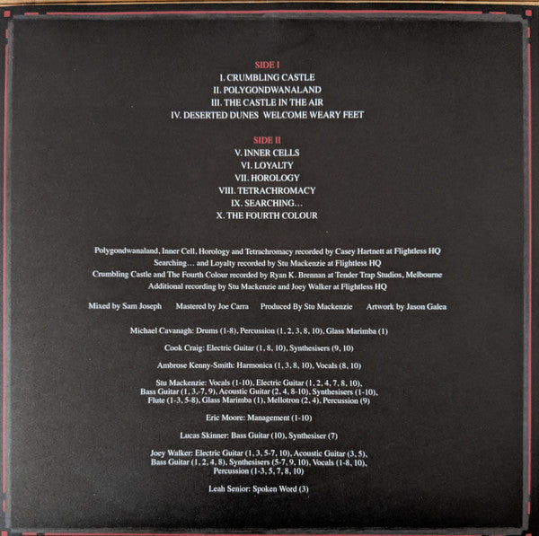 King Gizzard And The Lizard Wizard : Polygondwanaland (LP, Album, Gol)