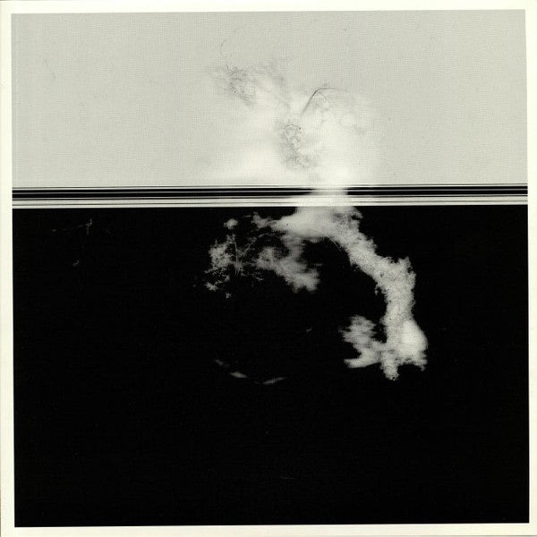 Vera Dvale & Psykovarius : Avav (LP)