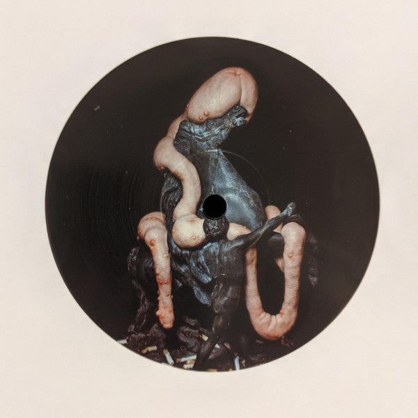 Heith & Weightausend : Stone Lizard (12", EP)