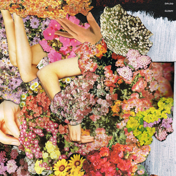 Glorify (LP) (Near Mint (NM or M-))