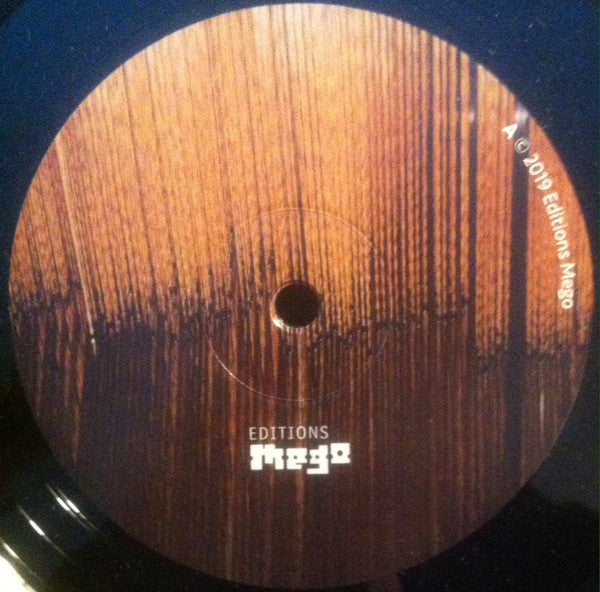 Thomas Brinkmann : Raupenbahn (LP, Album)