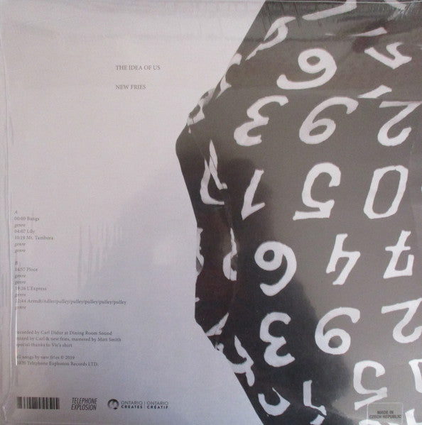 New Fries : Is The Idea Of Us (LP)