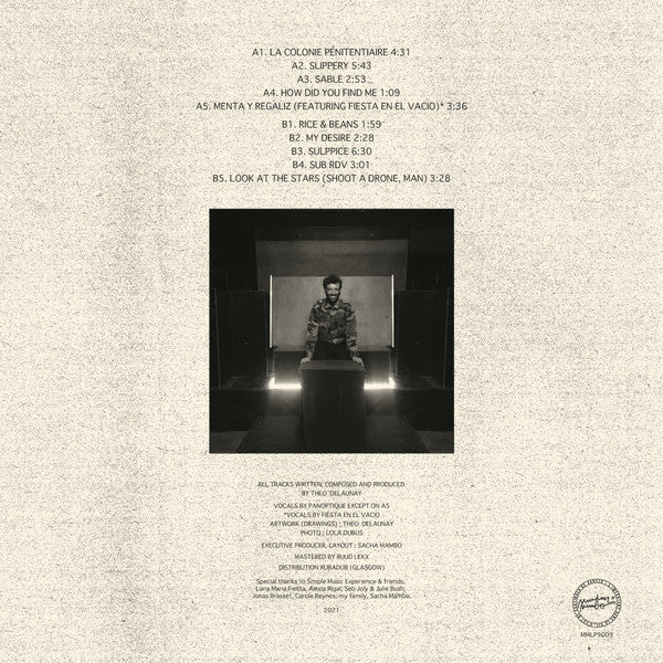 Panoptique : How Did You Find Me? (LP, Album)