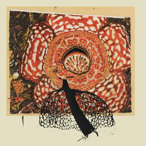 Rainbow De Nuit (LP) (Mint (M))