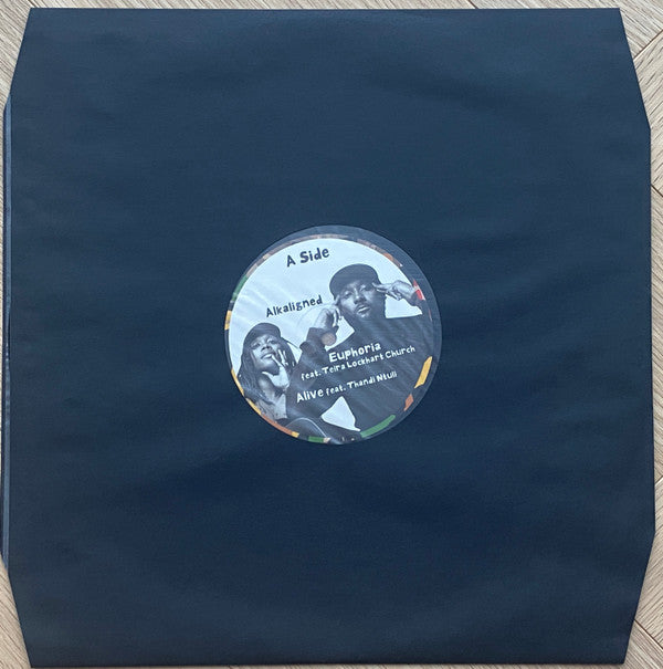 Damani Nkosi, Ill Camille : Harriett (2xLP, Ltd)