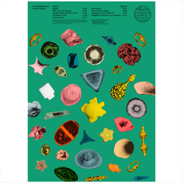 Polysensuality (LP) (Mint (M))