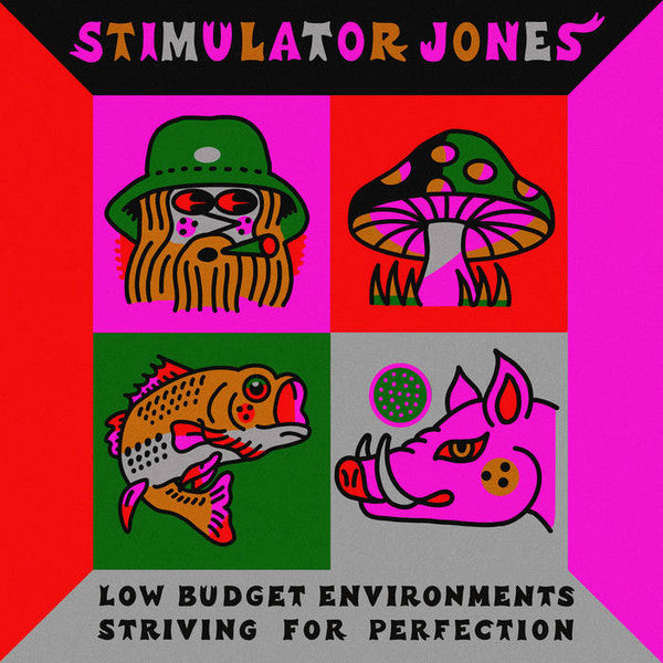 Low Budget Environments Striving For Perfection (LP) (Mint (M))