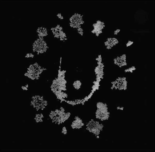 Various : Incantations (LP, Comp)