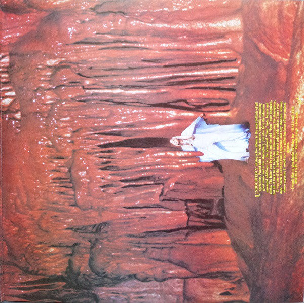 Rick Wakeman : Journey To The Centre Of The Earth (LP, Album, Gat)