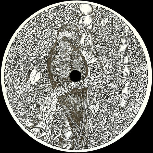 Dreesvn : Woodlandscene (12")