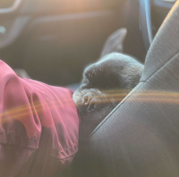 Rivet : L+P-2 (2xLP, Album)