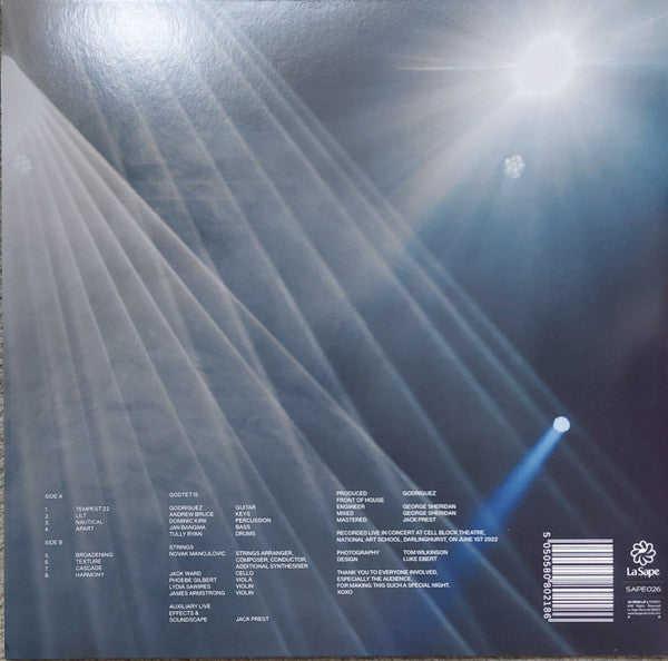 Godtet Feat. Novak Manojlovic : +Strings (LP, Album)