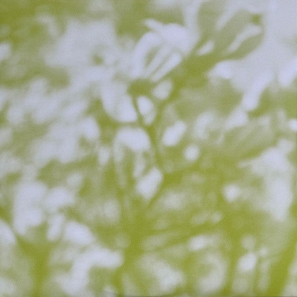 Tara Clerkin Trio : In Spring (12", EP, Ltd, RP, 2nd)