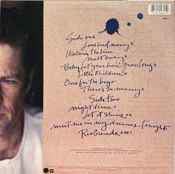 Brian Wilson : Brian Wilson (LP, Album)