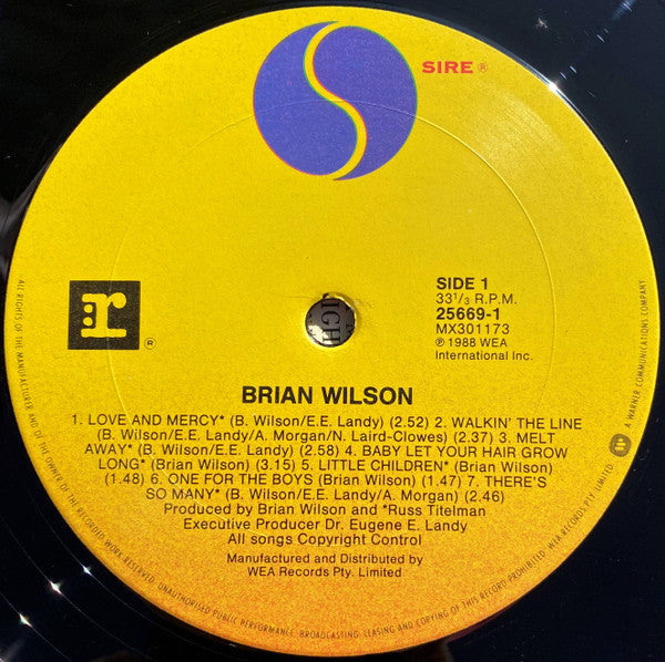 Brian Wilson : Brian Wilson (LP, Album)