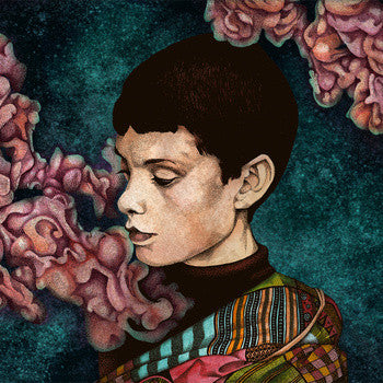 Reason To Care : Evyn (LP, Album)