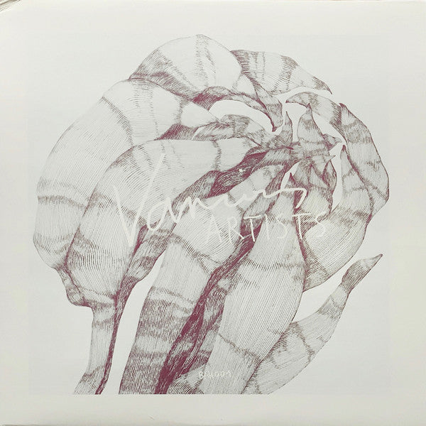 Various : Box Aus Holz 001 Lost Tracks (12", Ltd)