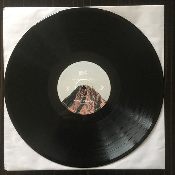 Holy Holy : When The Storms Would Come (LP, Album)