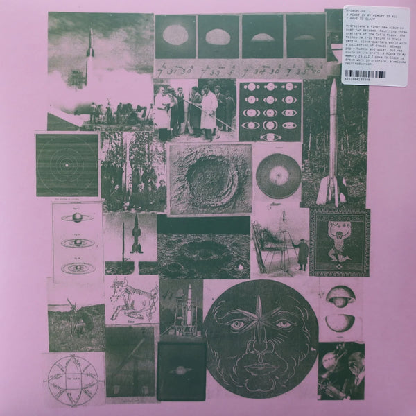 A Place In My Memory Is All I Have To Claim (LP) (Mint (M))