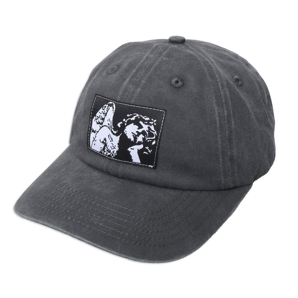 PC Hat