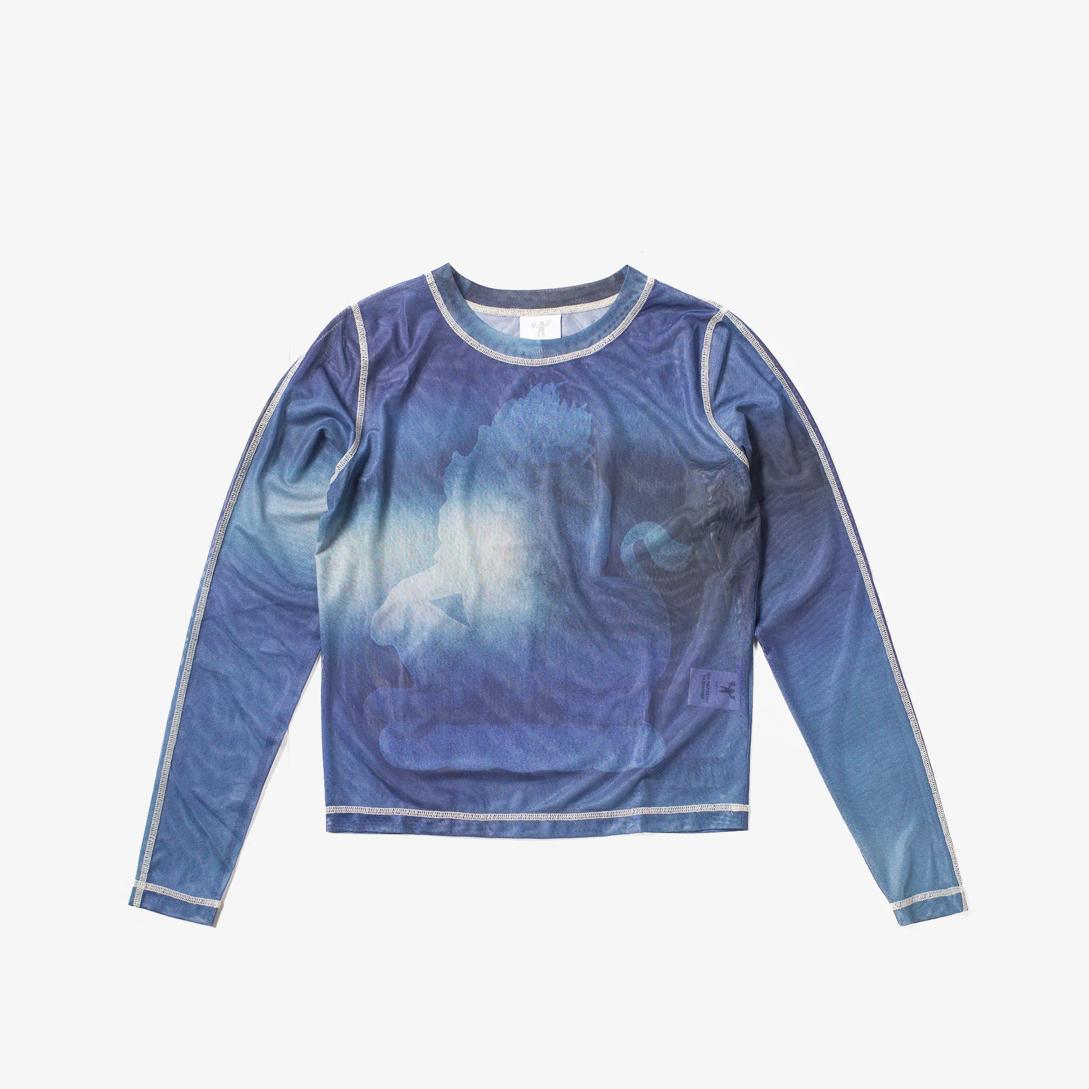Mane Mesh Top