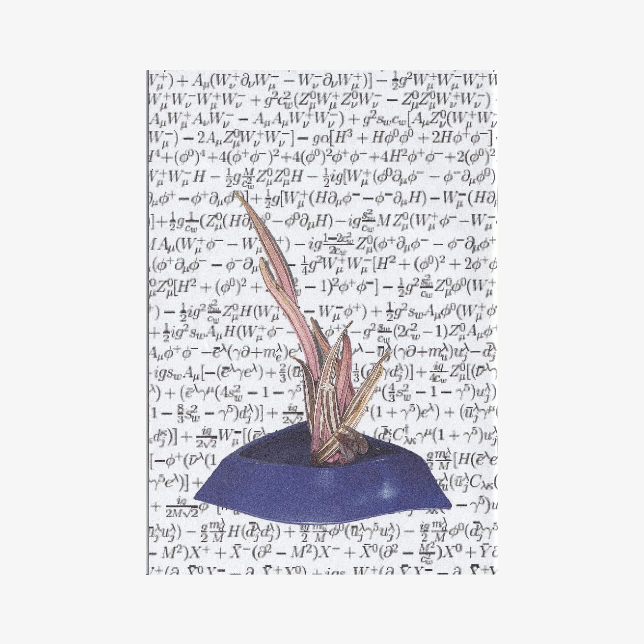 Haruka Hirata - ((DIVE))