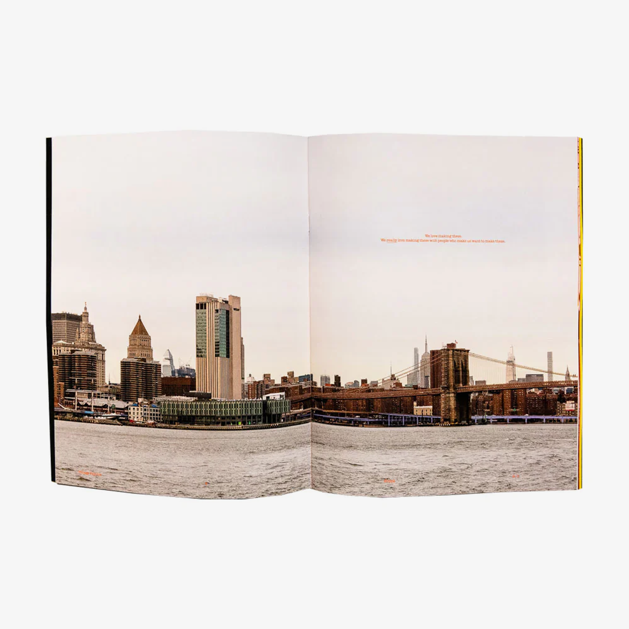 Hopps X Village Psychic Zine