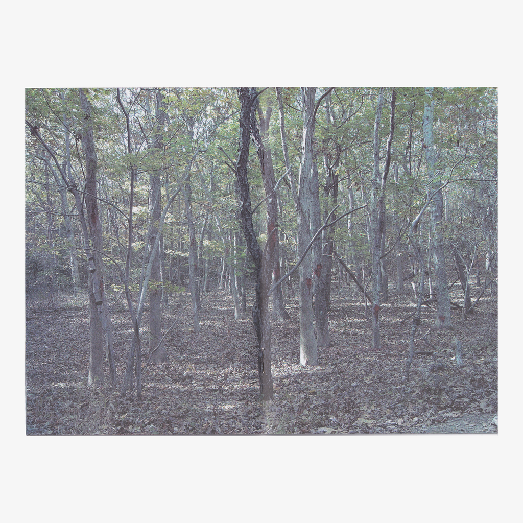 Lucien Smith - The Dream of the Rood