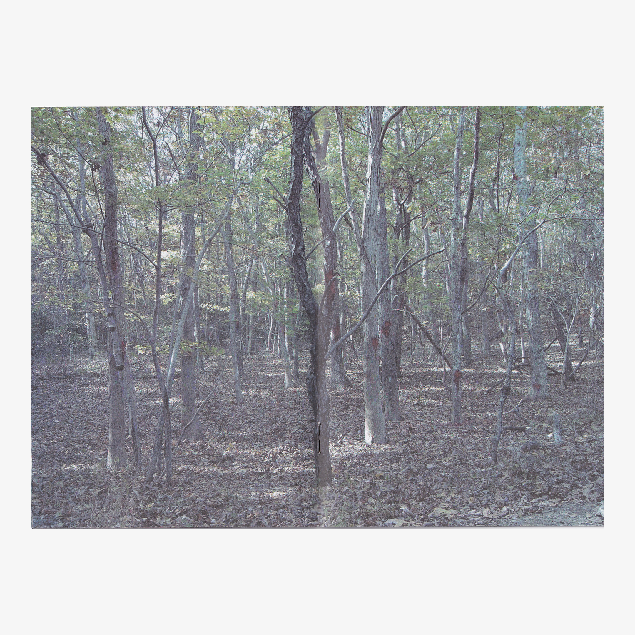 Lucien Smith - The Dream of the Rood