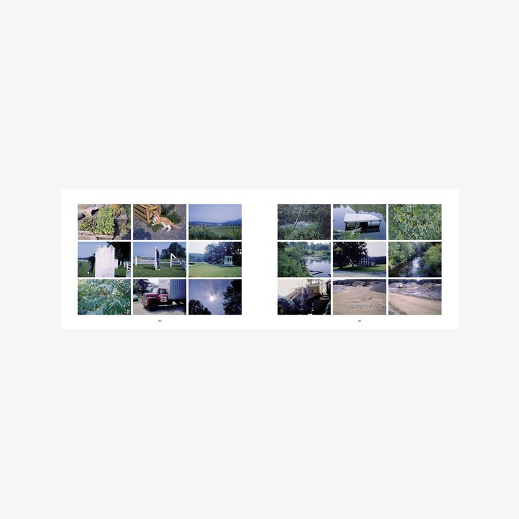 Bernadette Mayer: Memory