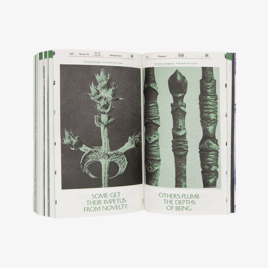 Seeing <—> Making | Room for Thought - Buck-Morss, Susan; McCaughey, Kevin; & Michaels, Adam