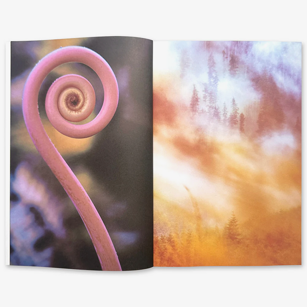 The Absolute Recedes