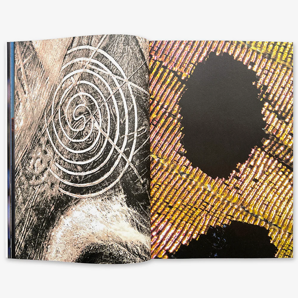 The Absolute Recedes