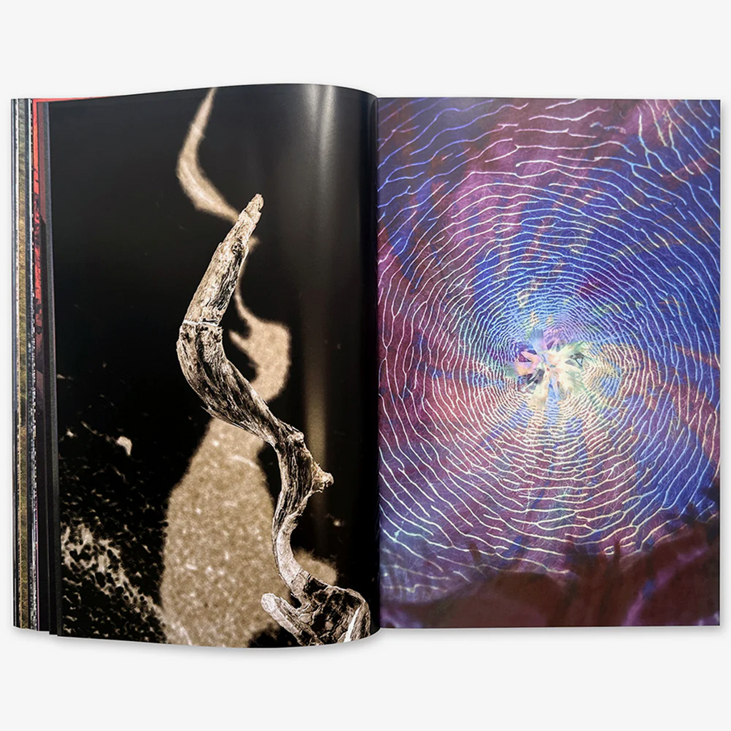 The Absolute Recedes