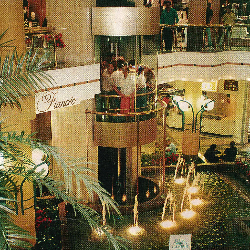 FIANCÉE (LP) (Mint (M))