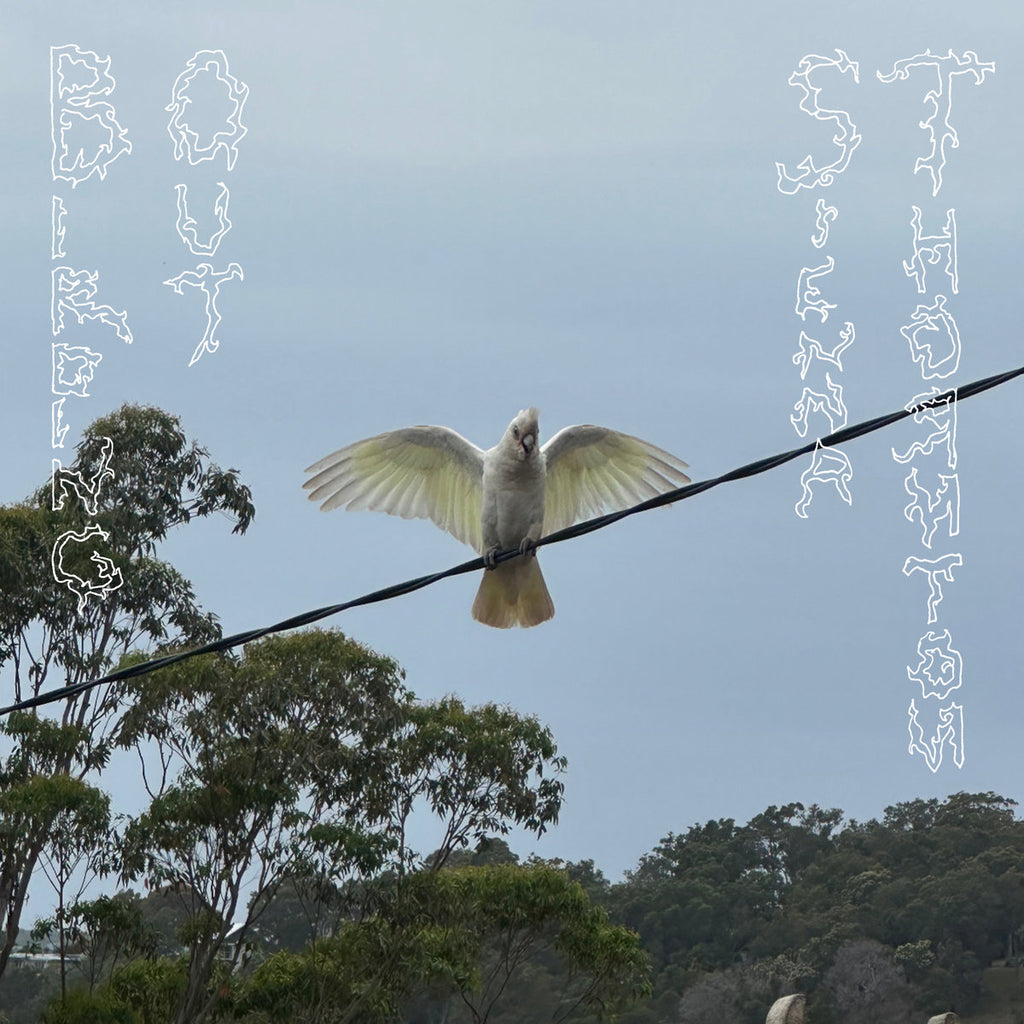 Birding Out (LP) (Mint (M))